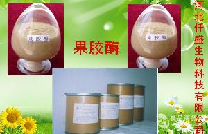 食品行業(yè)用纖維素酶供應——高效、安全的全方位解決方案