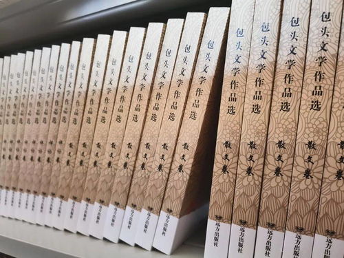 回眸 │我們這五年 包頭市文聯(lián)