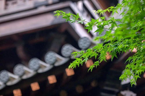 人物︱高大的龍床上,躺著他的尸體,和權(quán)力 李世民