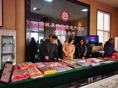 蒲城縣圖書出租服務(wù)獲肯定，文化館評估與公共文化建設(shè)考核圓滿結(jié)束