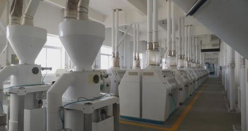 鄉村振興進行時 多措并舉促就業，精準服務暖民心，文藝創作煥活力